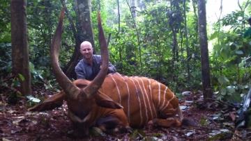 Trophy Bongo Hunt in Cameroon's Rain Forest 6