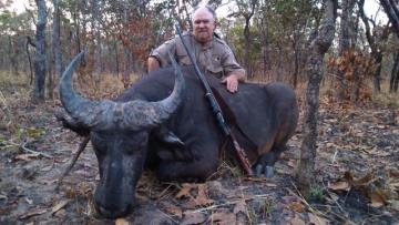 West Africa Savanna Buffalo Trophy