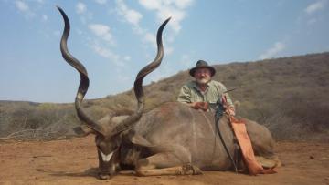 Giant kudu with a bow