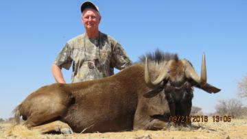 David Mabe Wildebeest