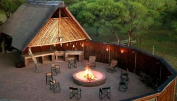 Lion hunting lodge in south africa