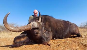 Cheap cape Buffalo hunts in Africa