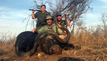 Gonarezhou Cape BuffaloTrophy