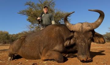 Cheap cape Buffalo hunts in Africa