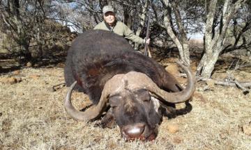 Hunt Cape Buffalo in South Africa 4