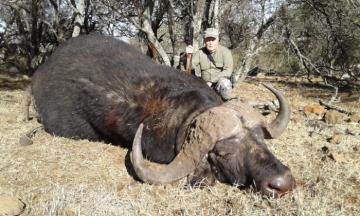 Hunt Cape Buffalo in South Africa 8