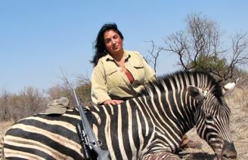 Introductory Hunting Safari Zebra Trophy