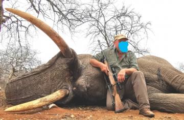 Elephant Hunt in Zimbabwe 1