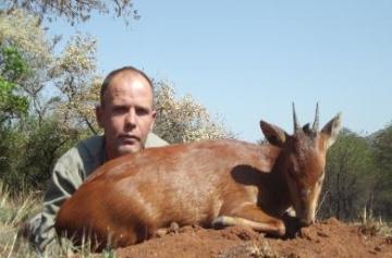 Nice red duiker taken with a predator call