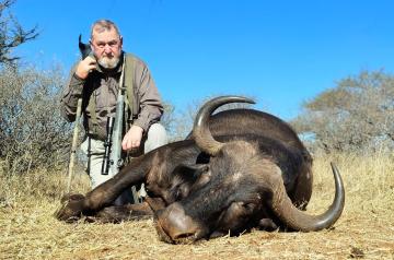 South African Cape Buffalo Cow Hunt