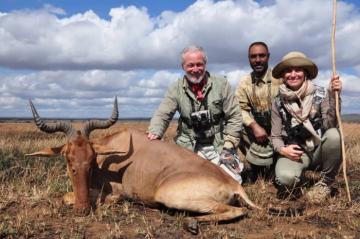 Maasailand Coke's Hartebeest