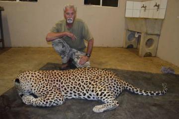 Leopard trophy in Zululand