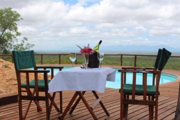 free range elephant hunt lodge in south africa