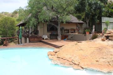 elephant lodge pool in south africa