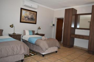 Lion Hunt in the Kalahari Desert 9