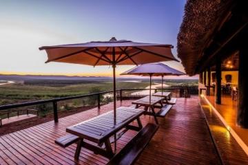 Free Range Cape Buffalo Hunt in South Africa 14