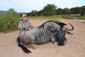 blue wildebeest hunting package
