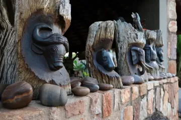 African cull hunting accomadations