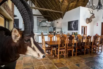 5 star hunting lodge