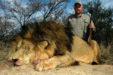 Hunt Your African Lion Now! 3
