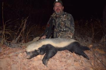 Trophy honey badger
