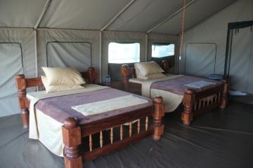 Bedsi n Selous Reserve Camp in Tanzania