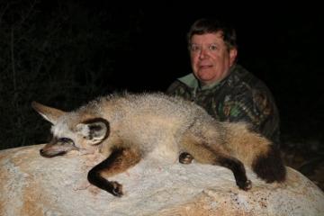 6 Day Zululand Ardwolf and Specialty Animal Night Hunt 4