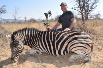 Bow Hunt Trophy Burchell's Zebra
