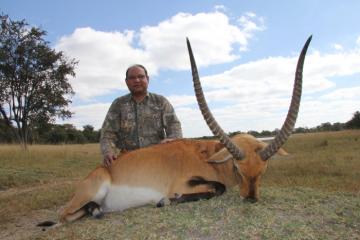 Another nice Kafue Lechwe