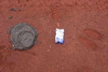 Dwarf Buffalo Hunt in Cameroon 8