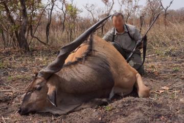Great Lord Derby Eland Safari in Cameroon's Northern Savanna 4