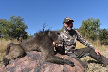 Trophy Chacma Baboon
