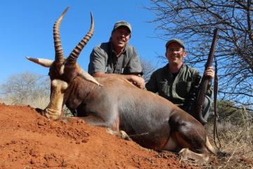 Nice trophy Blesbuck