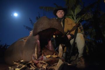 Free-range hippo trophy
