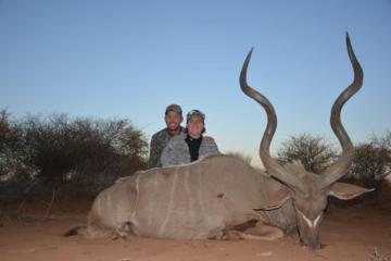 Discounted bow hunt trophy kudu bull