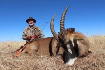 Roan taken with a long bow