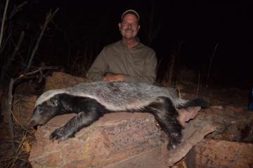 honey badger and hunter