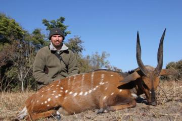 Chobe Bushbuck Trophy