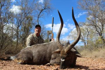 Bow Hunted trophy Nyala