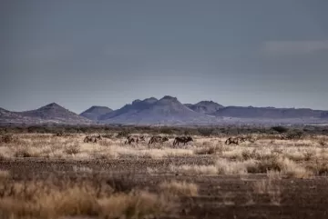Sothern Namibia Terrain