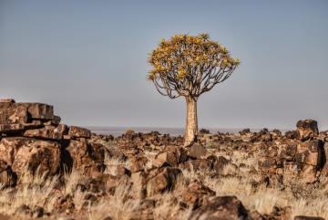 Southern Naimibiia Lansdscape