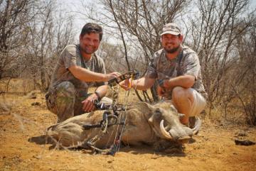 Nice warthog with a bow