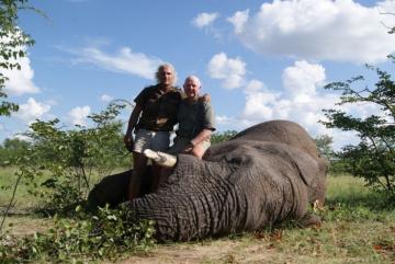 Non-Trophy Elephant Hunt in Namibia