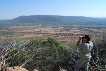 Typical giraffe hunt terrain