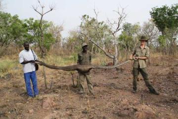 Roan Hunting Safari in Cameroon 7