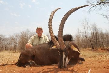 Hunt Sable in South Africa 2