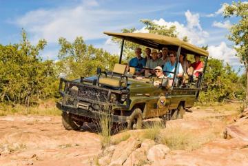 Companions on Photographic Safari