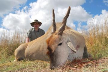 build your own safari eland