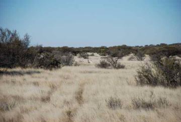 Kalahari Desert Plains Game Hunt 2