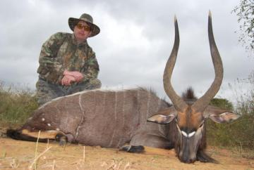 big trophy nyala taken on dark bull giraffe hunt